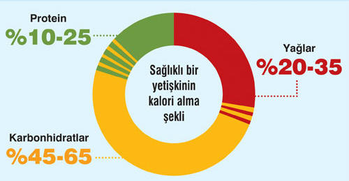 Sporda Sağlıklı Beslenme Protein/Kalori/Karbonhidrat Hakkında