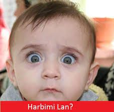 Nedir sizce feministilk ? 