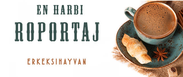 En Harbi Röportaj - 