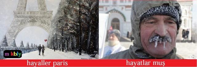 Hayaller Paris, Hayatlar Muş