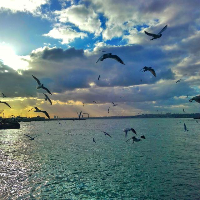 Fotoğraf Çekmeye Yeni Başlayanlara Tavsiyeler