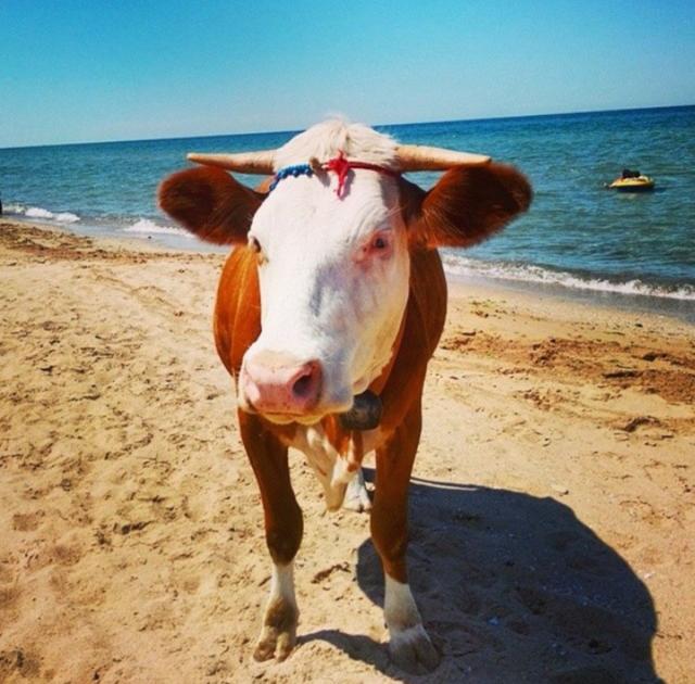 Fotoğraf Çekmeye Yeni Başlayanlara Tavsiyeler
