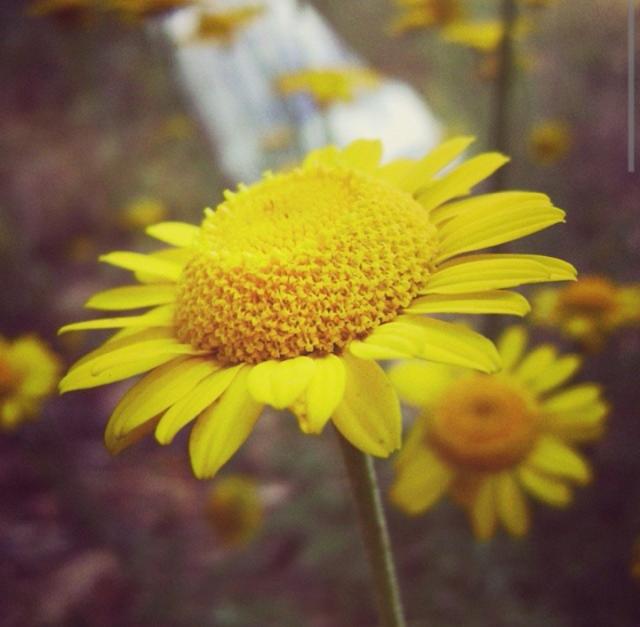 Fotoğraf Çekmeye Yeni Başlayanlara Tavsiyeler