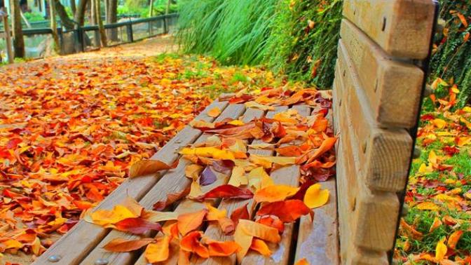 Fotoğraf Çekmeye Yeni Başlayanlara Tavsiyeler