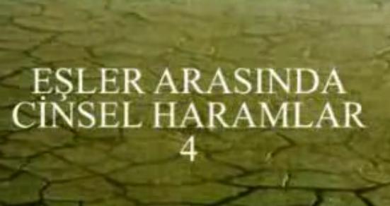 Cinsellik Hakkında Dini Konular
