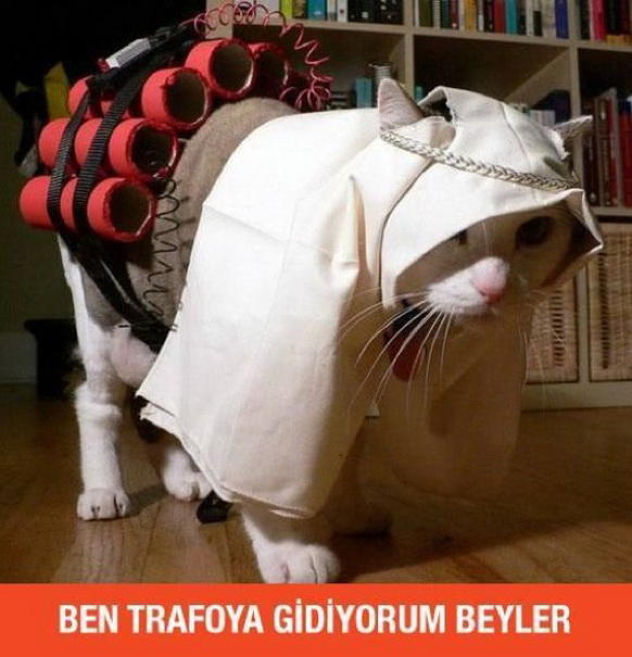 Avrupa'da Yaşamak İçin Nedenler..
