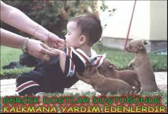 Sahte Dostları Nasıl Tespit Edebilirsiniz?