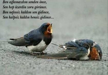 Ayrılık Çanları Bizim İçin Çalıyor