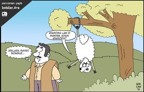 Her Koyun Kendi Bacağından Asılmamalı