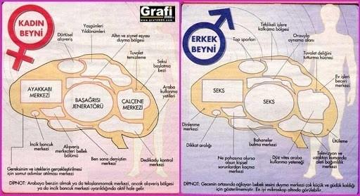 Kadınla Erkek Neden Anlaşamaz