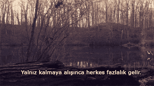 Aşkın İç Açılarının Toplamı Ayrılıktır