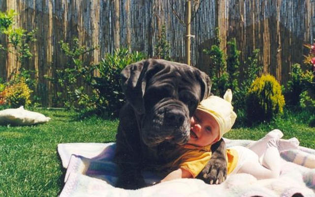 Köpeklerin Bebeklerle Olan İnanılmaz Dostluğu