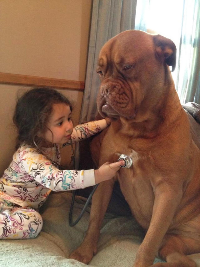 Köpeklerin Bebeklerle Olan İnanılmaz Dostluğu