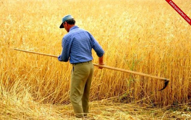 Babanın Bilinmeyen Değeri Babamıza Saygılı Olalım