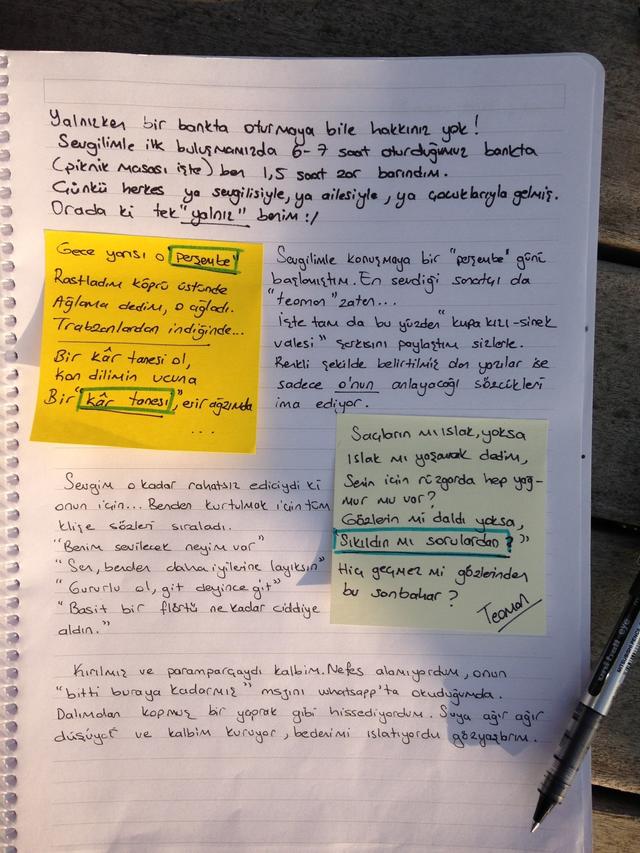 Kar Tanesi - @AppleCrow'un aşk acısı -2. Bölüm