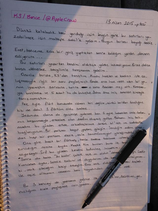 Kar Tanesi - @AppleCrow'un aşk acısı -2. Bölüm