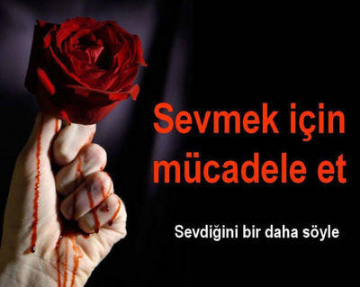 Seven İnsan Nasıl Davranır, Sevmeyen İnsan Nasıl Davranır?
