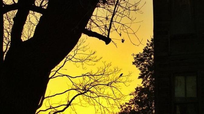 İnstagram'da Beğendiğim En Güzel Sayfalar 2