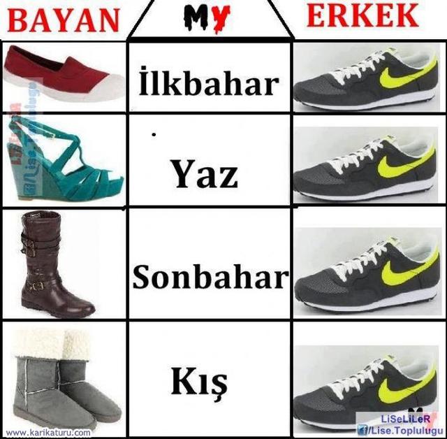 Kızlar İle Erkekler Arasındaki Farklar