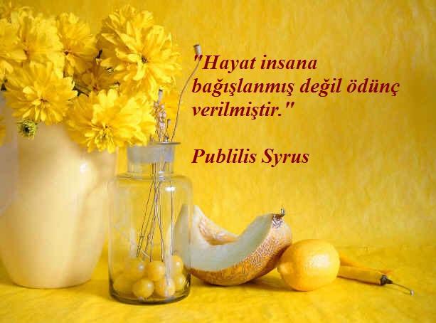- Anı Yaşamak -