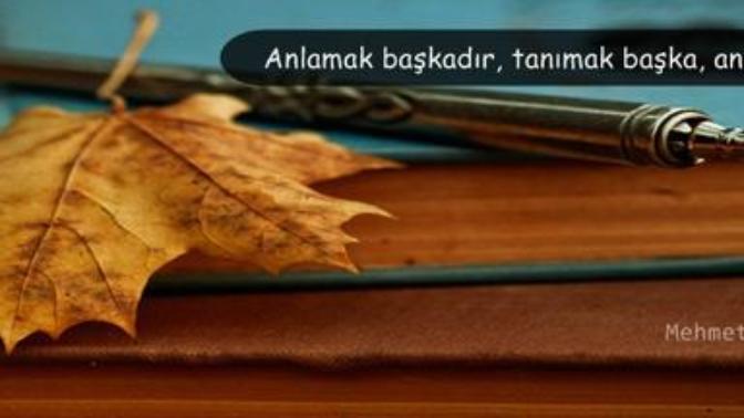 Tanıdığım Kadınların Hayat Felsefesi 