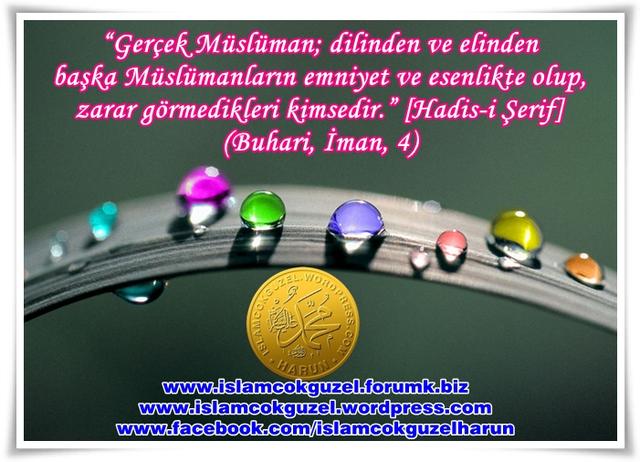 Ülkemizdeki Müslüman Tipleri