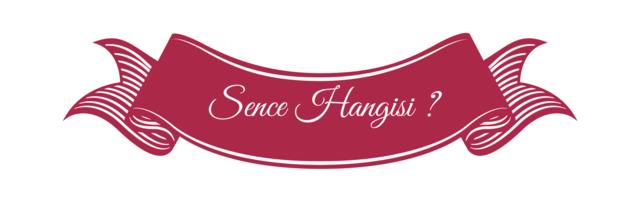 En Harbi Röportaj - "erkeğinırıspısıı"