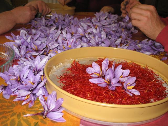 Beyninize Faydalı Olan 4 Baharat