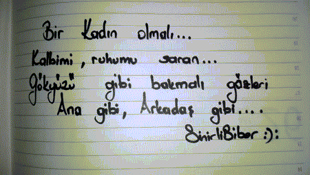 Biri Bizi Anlasın!