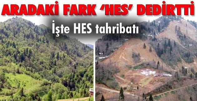 Ses ver Karadeniz, ses ver Türkiye !