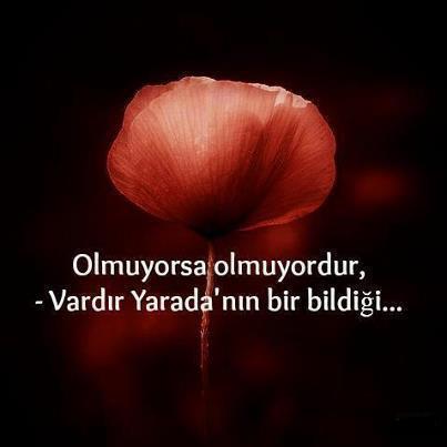 Din Felsefesi Nedir Kaça Ayrılır?