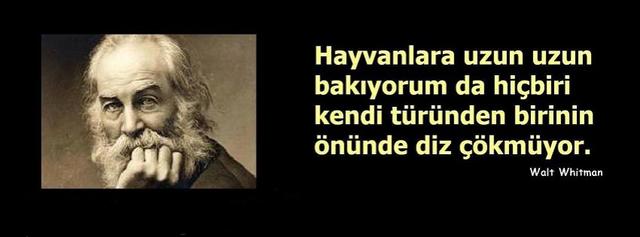 Din Felsefesi Nedir Kaça Ayrılır?