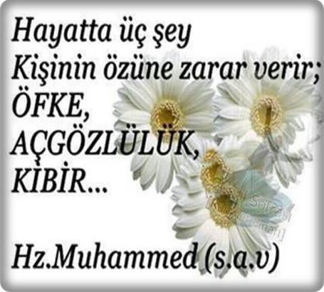 Din Felsefesi Nedir Kaça Ayrılır?