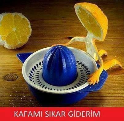 Googlea Sorulan Komik Sorular ve Aranan Kelimeler