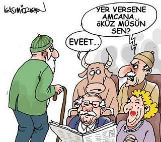 Googlea Sorulan Komik Sorular ve Aranan Kelimeler