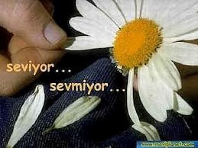 Türklere Özgü Davranışlar