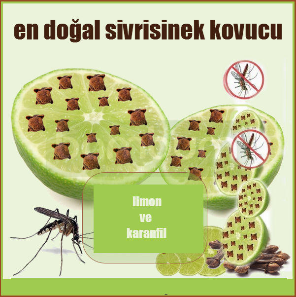 Sivrisineklerinden Doğal Korunma Yolları 