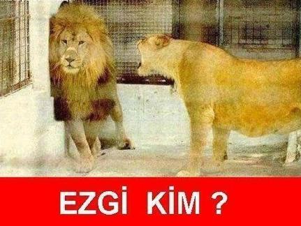 Avcı Kadınların Gözünden Aşkın “Diğer” 10 Evresi
