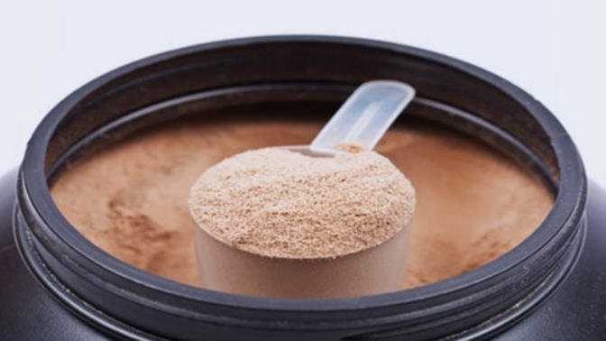 Supplement ve Protein Çeşitleri
