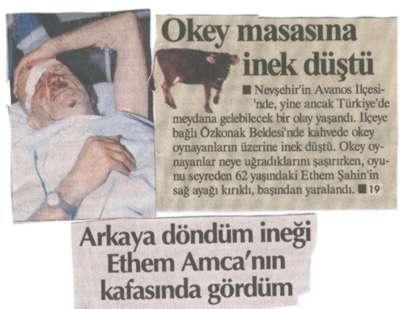 Türkiye'de "Yok Artık" Dedirten Olaylar