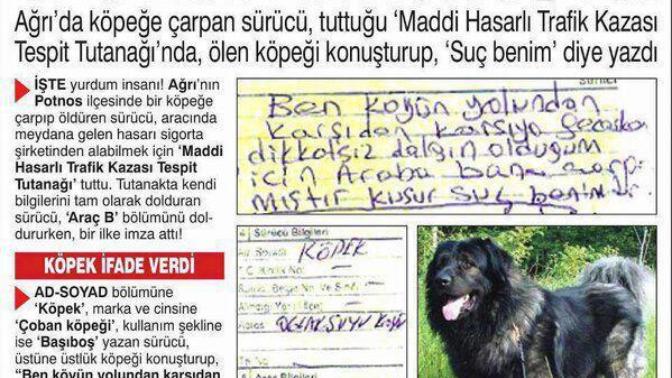 Türkiye'de "Yok Artık" Dedirten Olaylar