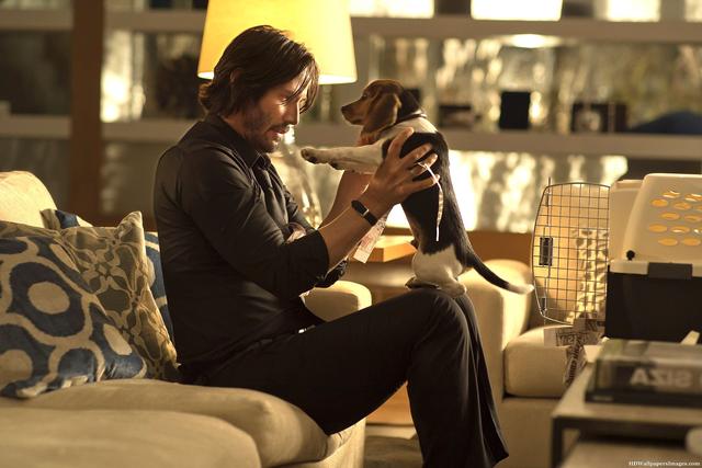 Film Önerisi: 2014'ün En İddialı Aksiyon Filmi John Wick