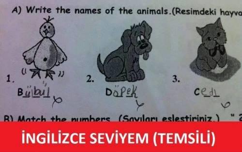 İngilizce'yi Akıcı Konuşma Yolları
