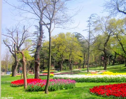 Üsküdar'da Gidilesi Görülesi Yerler Ve Mekanlar.