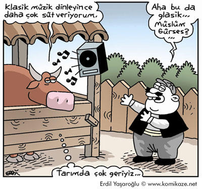 Geceleri KizlarSoruyor!