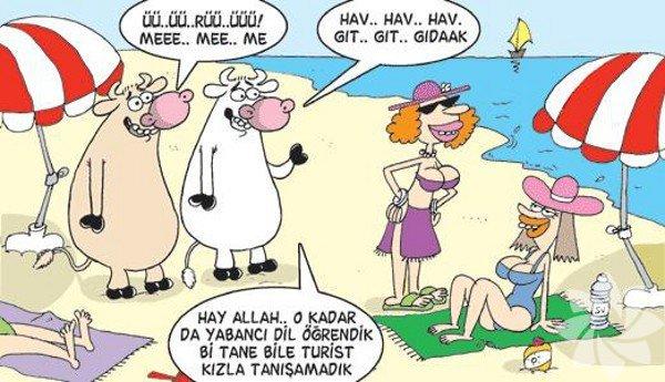 Yazı Özlememize Sebep Olanlar!