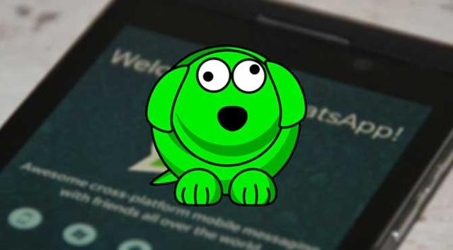 Whatsapp'ın Whatsdog'unu Öğrenelim