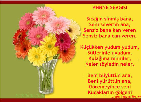 Anne sevgisi paha biçilemez.