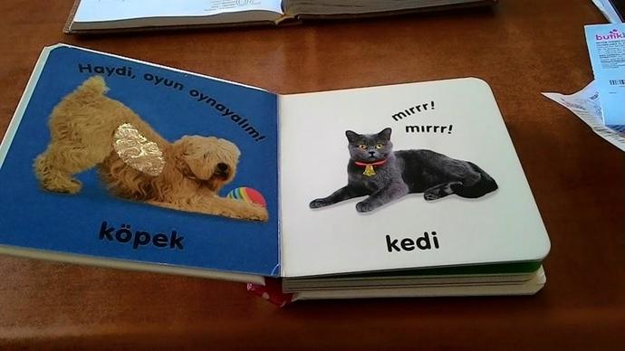 Araştırmacı Anne- Kitap Kurdu Bebek
