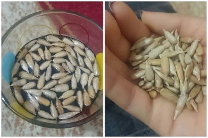 Bunları Yapmayan Çocukluğumu Doyasıya Yaşadım Demesin